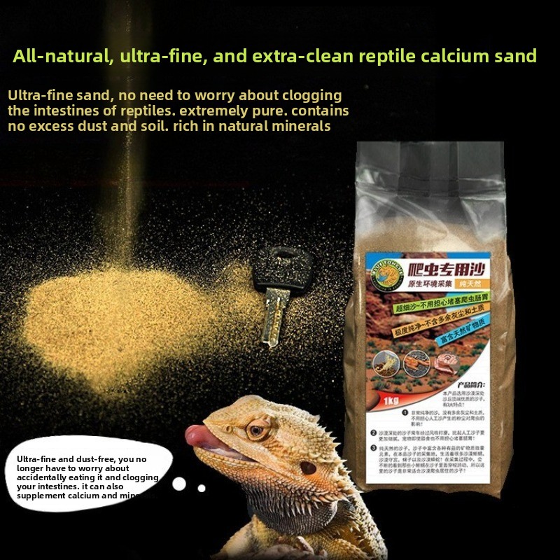 Calcium Powder Reptile - 파충류 모래 칼슘 모래, 턱수염도마뱀 사막