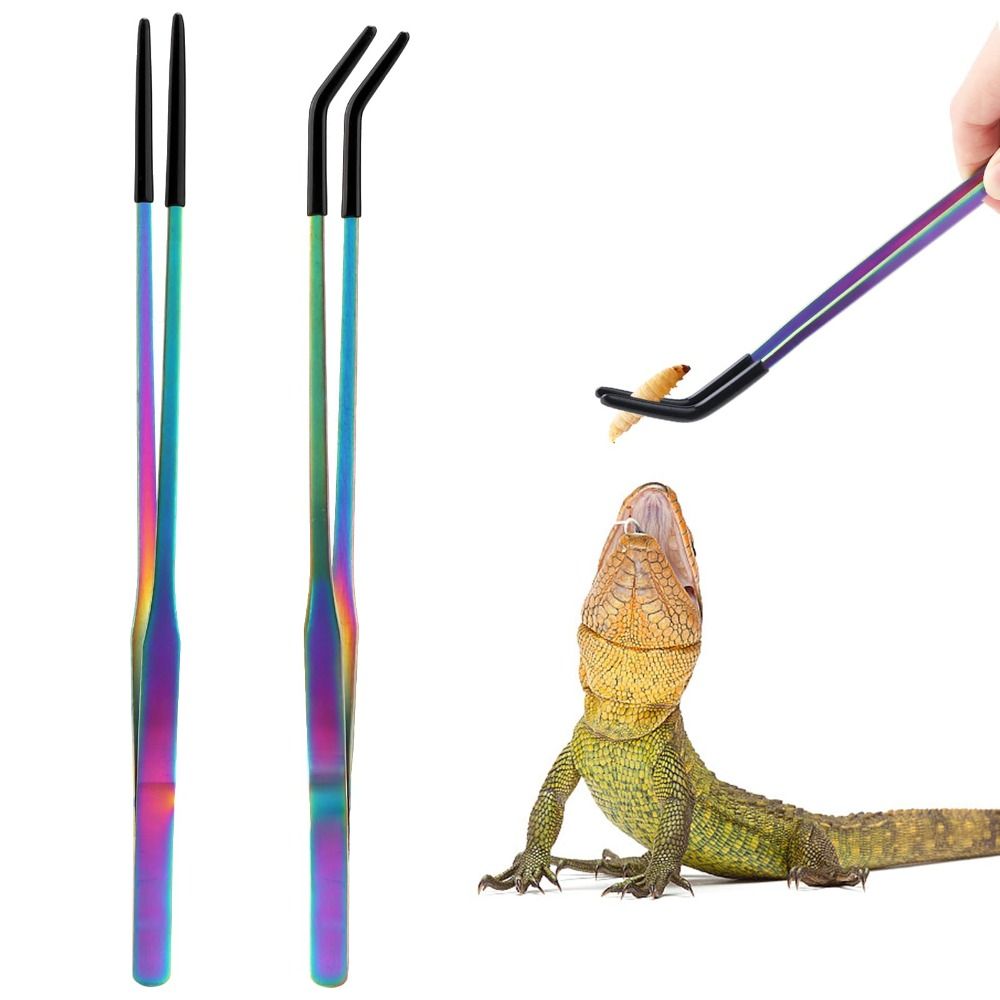 Feeding Tong Stainless - 2PCS 스테인레스 스틸 파충류 먹이 집게