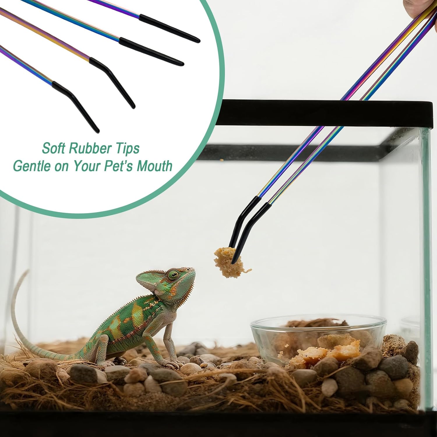 2PCS 고무 팁이 있는 스테인레스 스틸 파충류 먹이주 - Feeding Tong Stainless 리뷰 및 가격