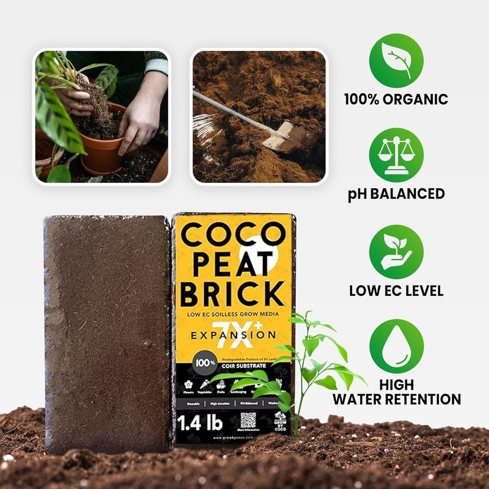 650g 브릭 - 프리미엄 유기농 페트 브릭 또는 정원 - Substrate Coconut Fiber 리뷰 및 가격