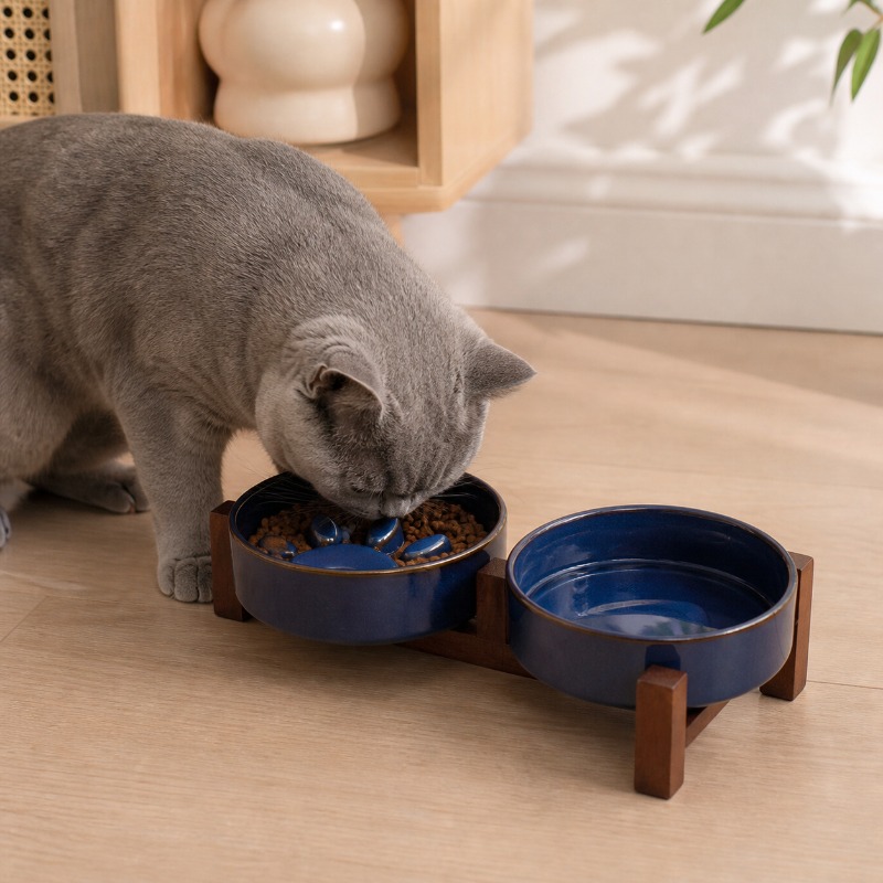 일본식 가마 세라믹 애완동물 고양이 그릇 중형견 강아지 - Royal Canin Food Medium 리뷰 및 가격