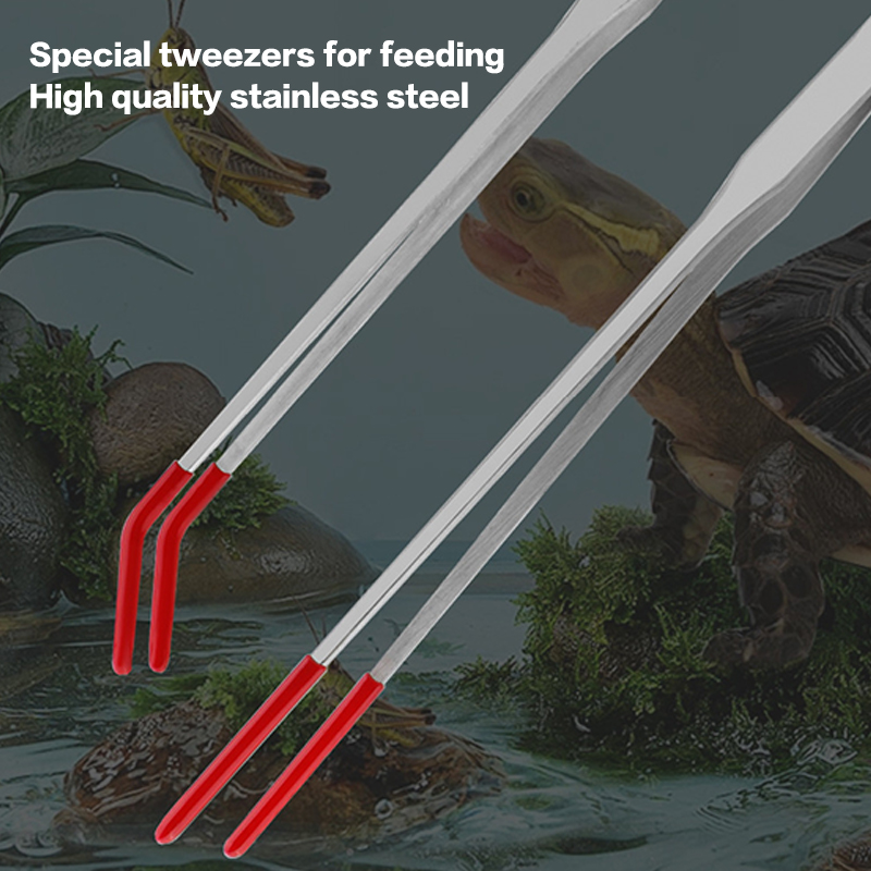 고무 팁이있는 스테인레스 스틸 파충류 먹이 집게 수족관 - Feeding Tong Stainless 리뷰 및 가격