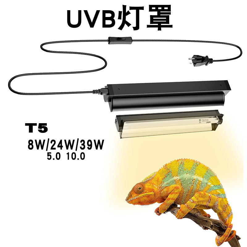 T5 UVB 튜브와 일체형 고정 장치가 있는 유리 탱크 - Calcium Powder Reptile 리뷰 및 가격