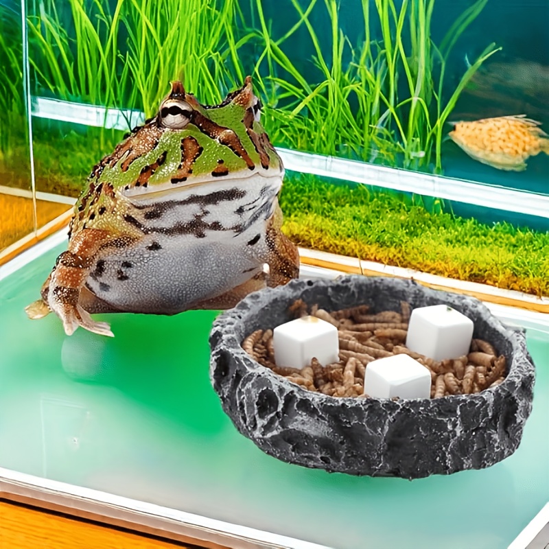 6개입 어항 칼슘 블록 미네랄 수족관 용품 파충류 연마 - Calcium Powder Reptile 리뷰 및 가격